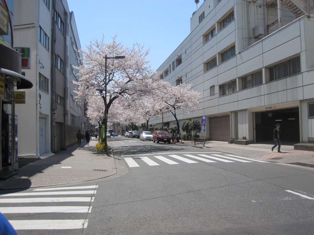 Day 2, Image 21