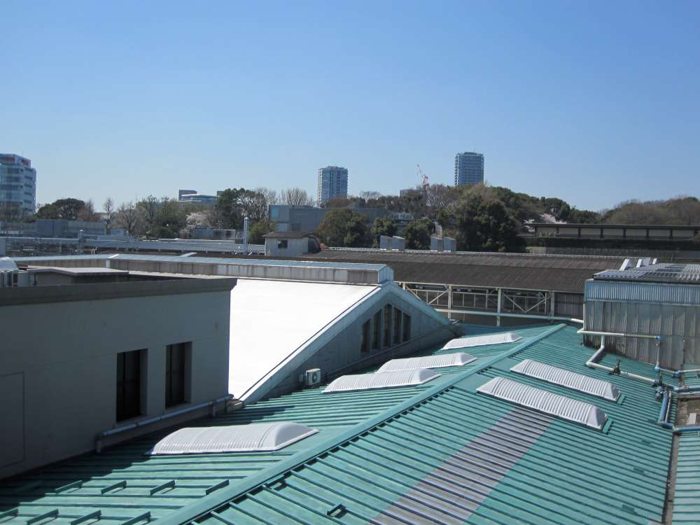 Day 2, Image 27