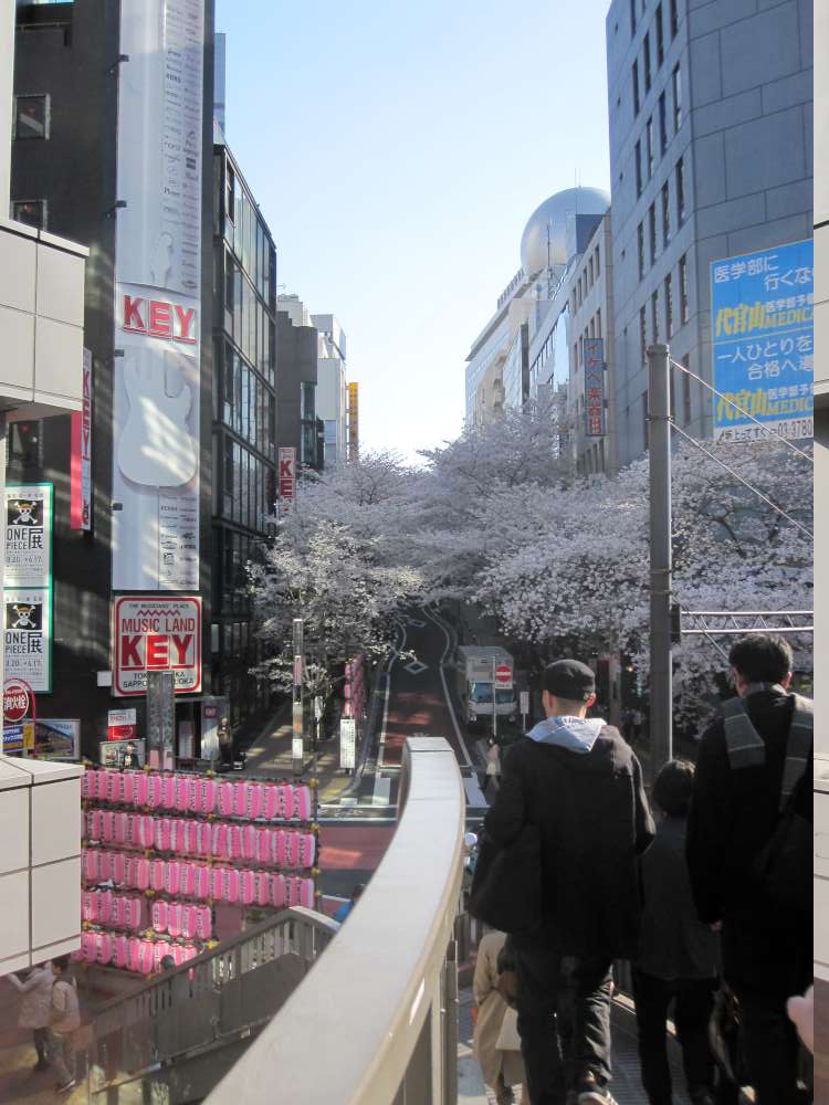 Day 2, Image 32