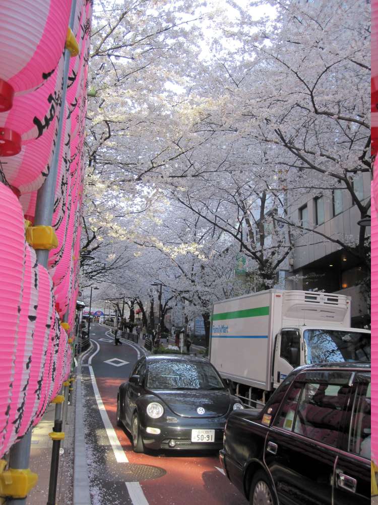 Day 2, Image 33
