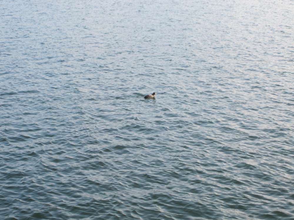 Day 3, Image 118