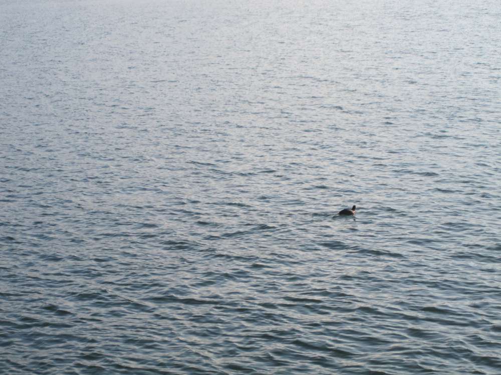 Day 3, Image 119