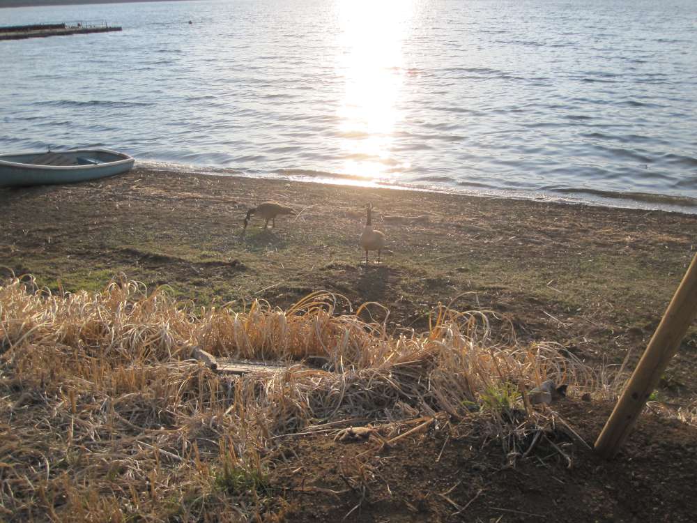 Day 3, Image 138