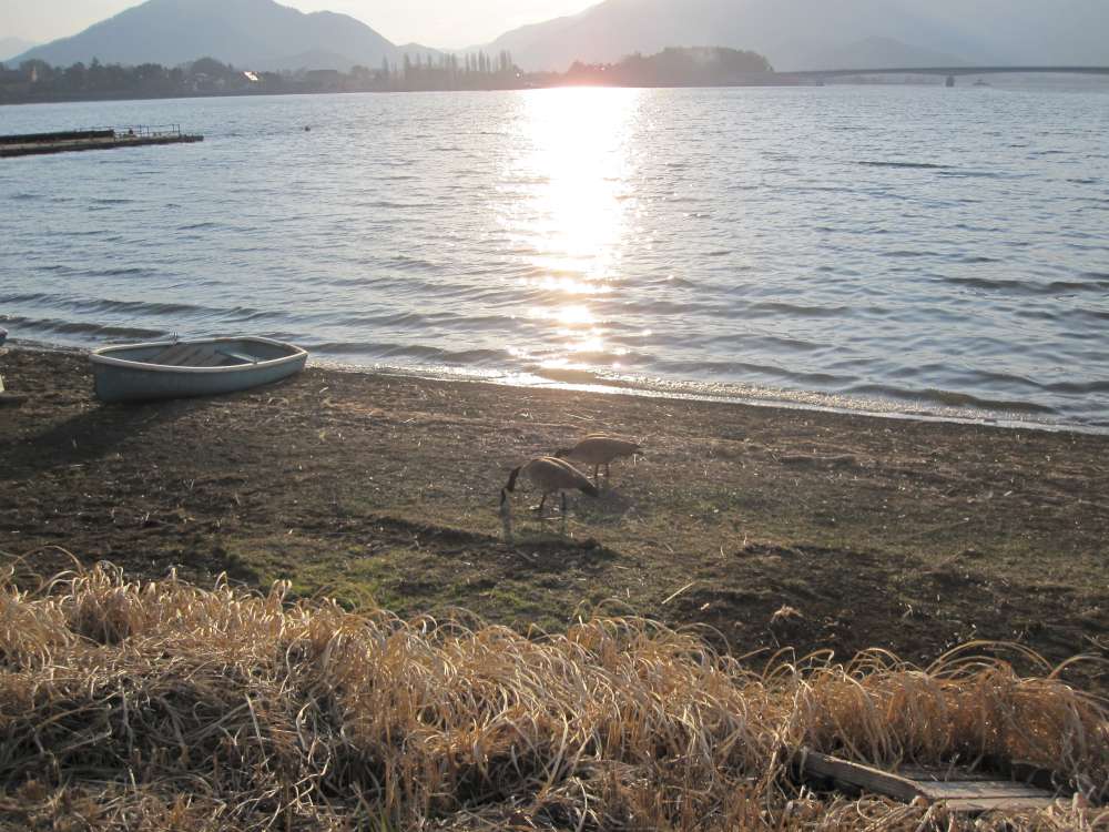 Day 3, Image 139