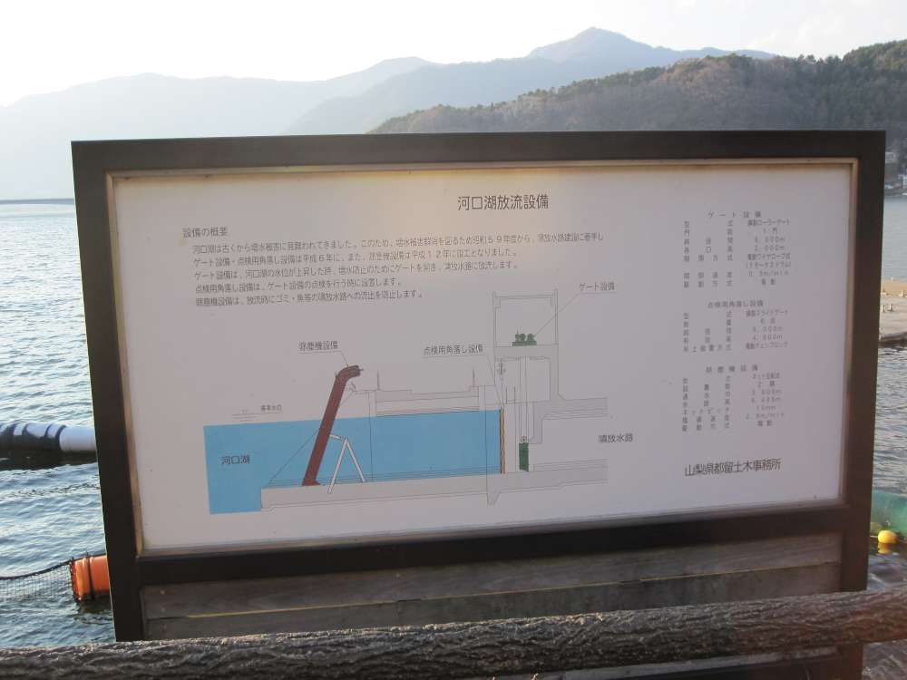 Day 3, Image 140