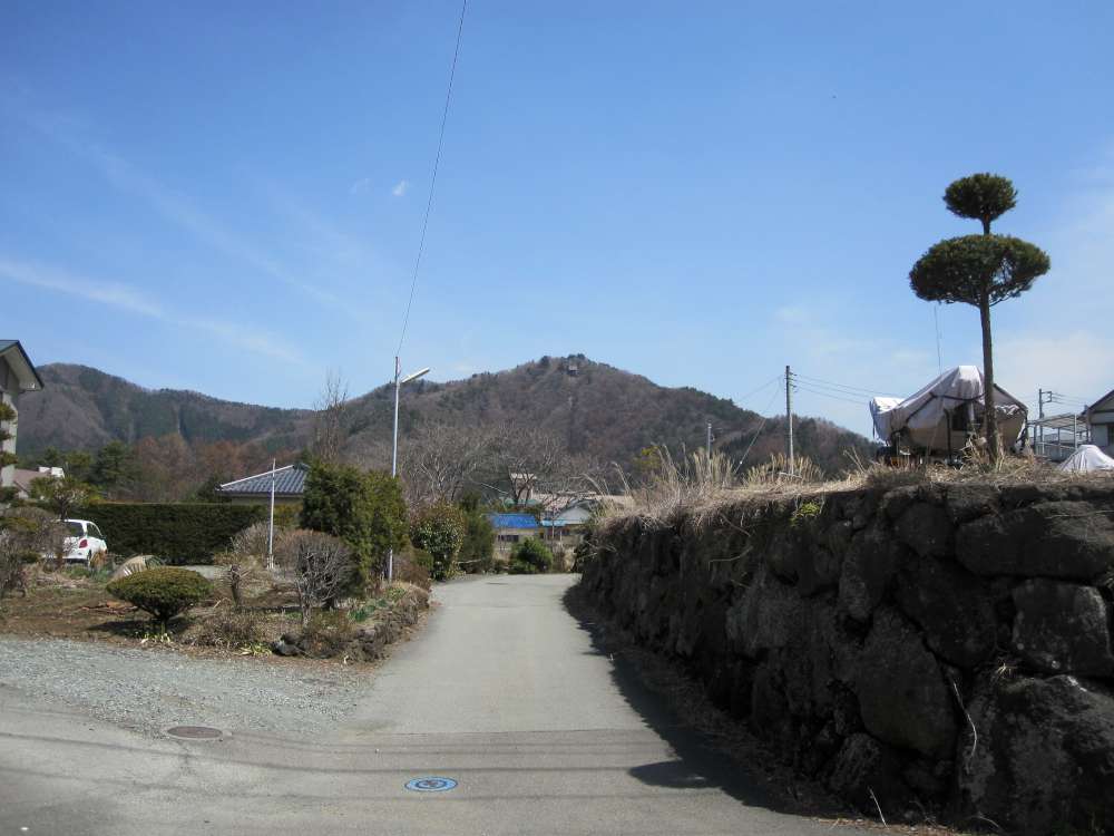 Day 4, Image 17