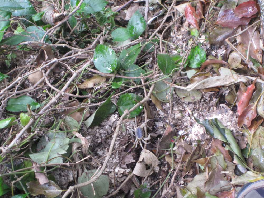 Day 5, Image 103