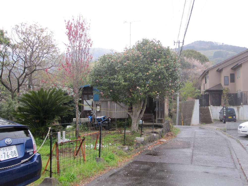 Day 5, Image 120