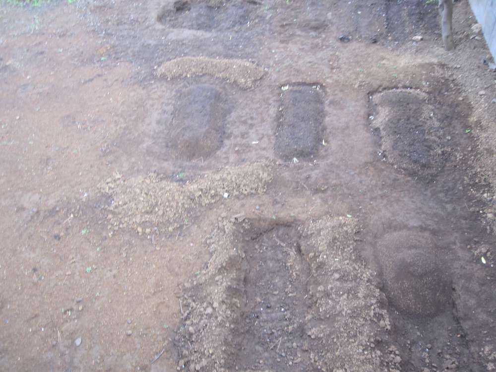 Day 5, Image 122