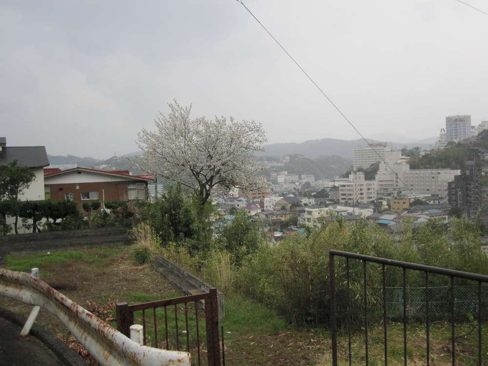 Day 5, Image 124