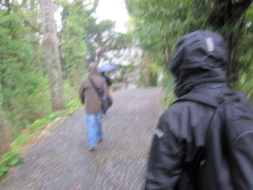 Day 5, Image 135