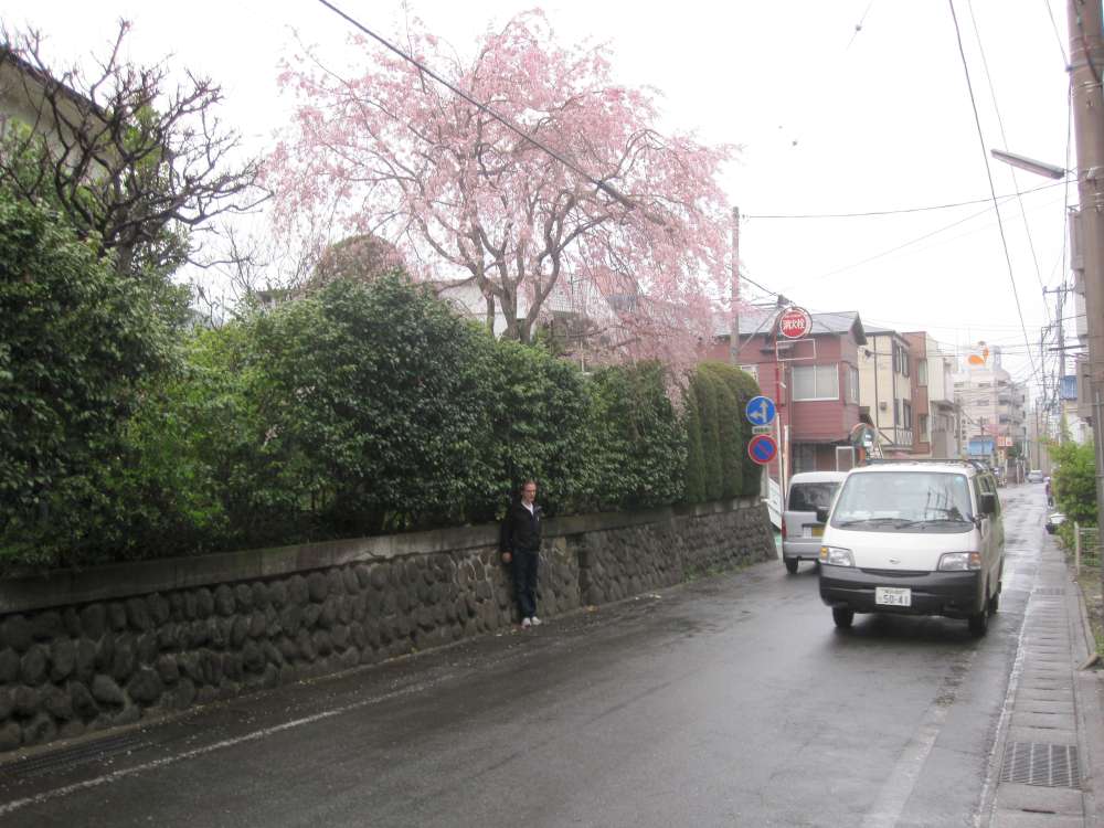 Day 5, Image 136