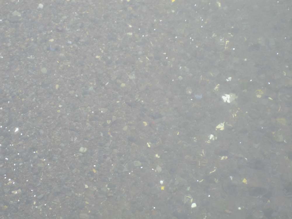 Day 5, Image 56