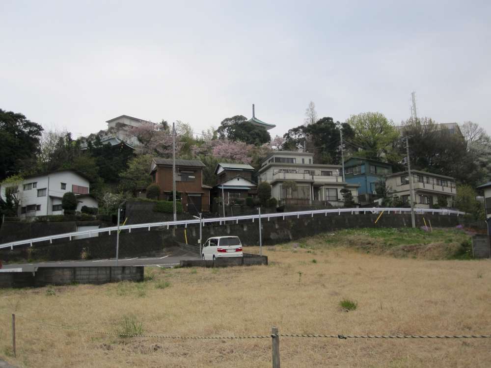 Day 5, Image 63