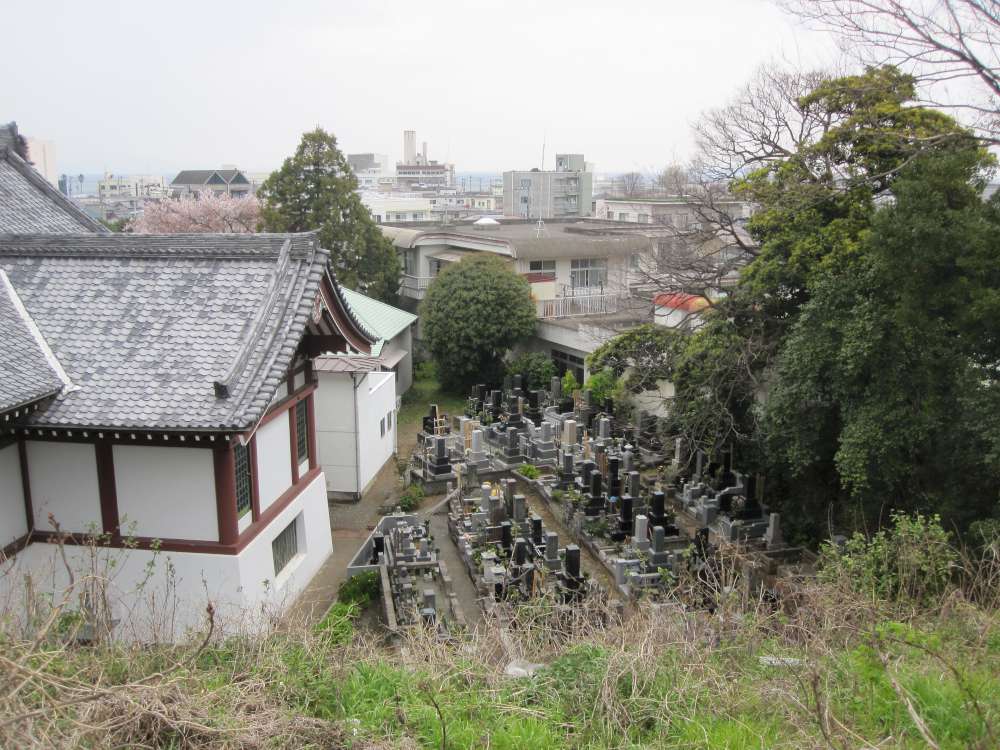 Day 5, Image 65
