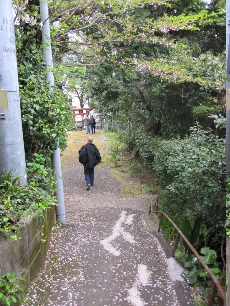 Day 5, Image 67