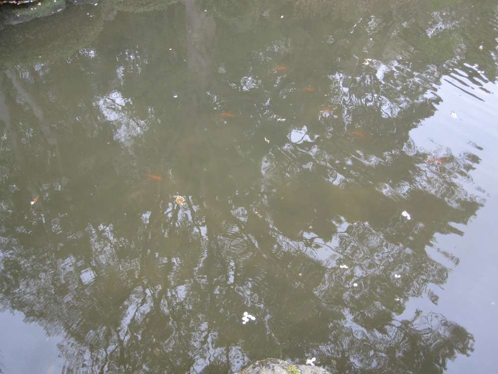 Day 5, Image 76