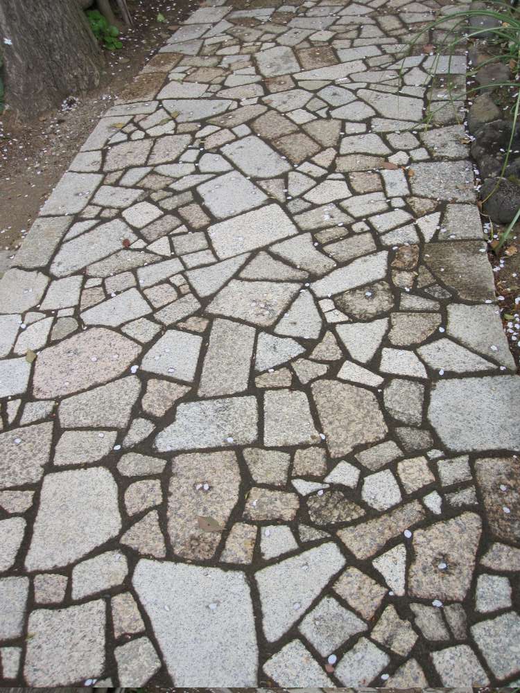 Day 5, Image 78