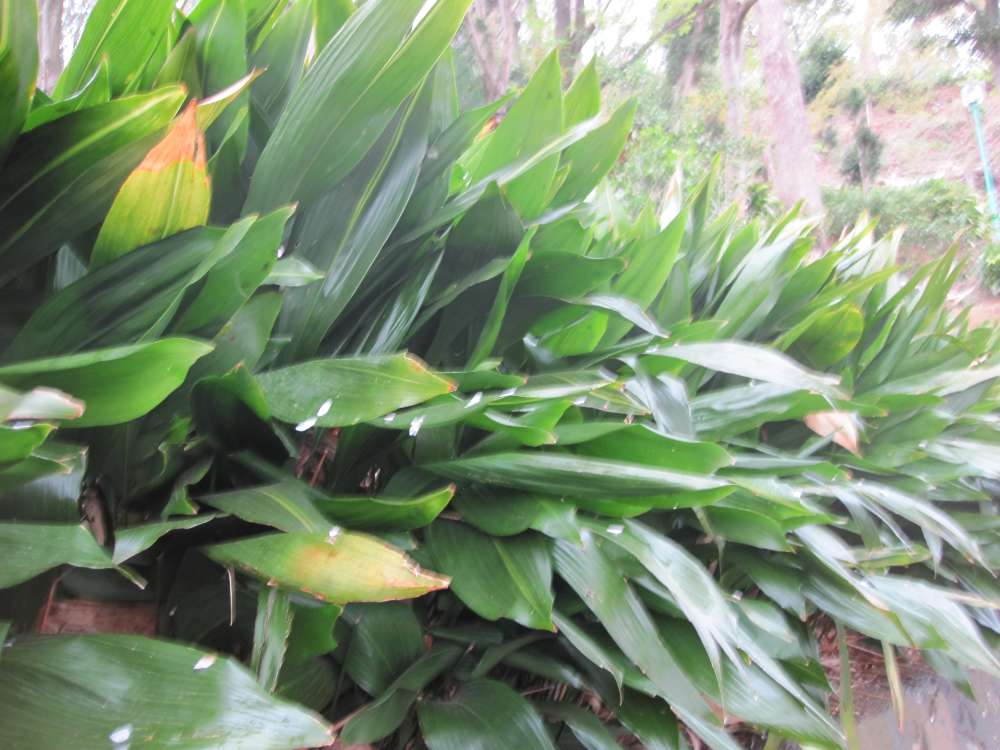 Day 5, Image 82