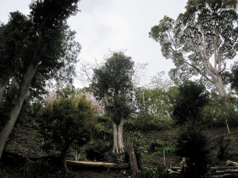 Day 5, Image 85