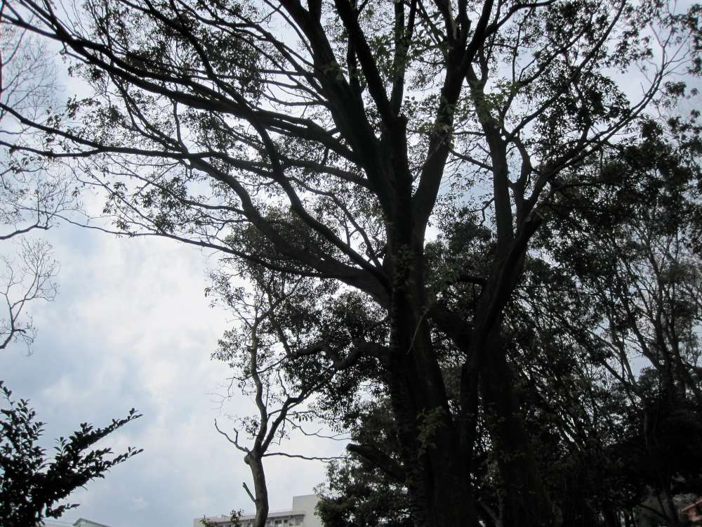 Day 5, Image 88