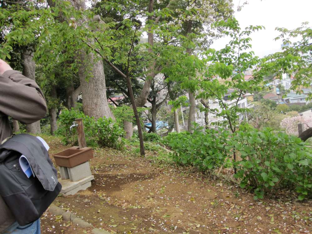 Day 5, Image 97
