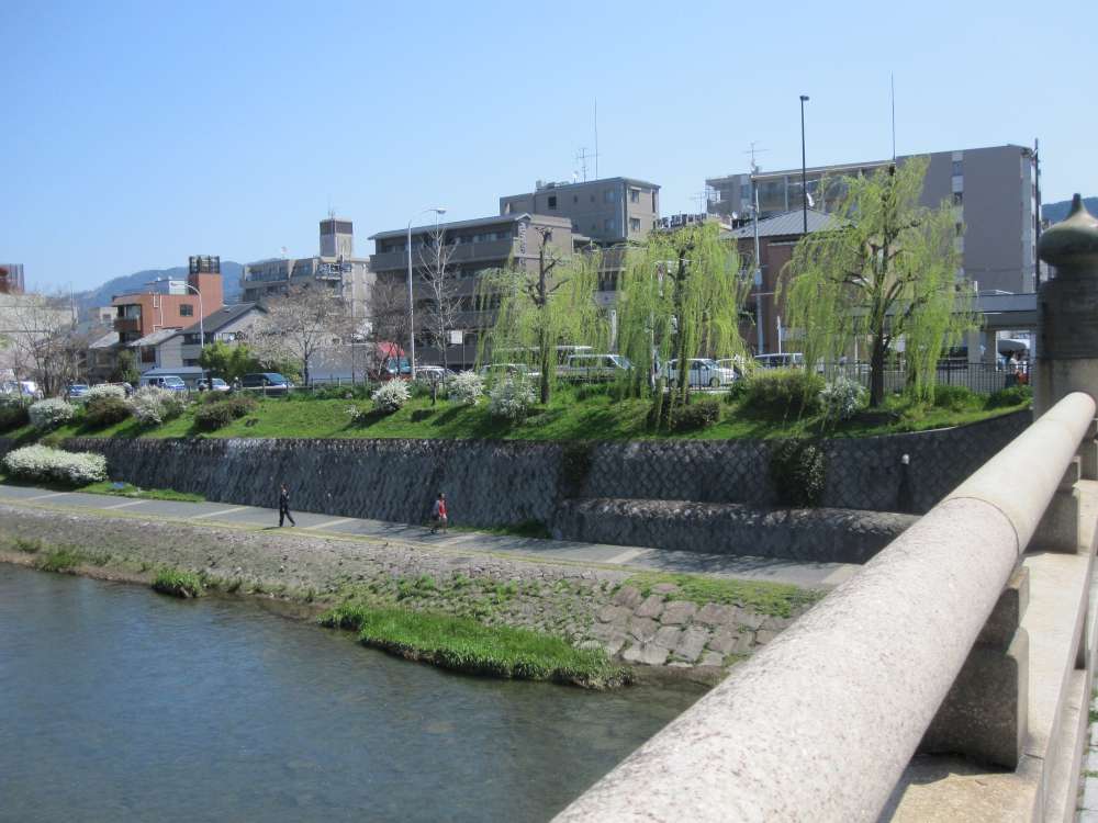 Day 6, Image 12
