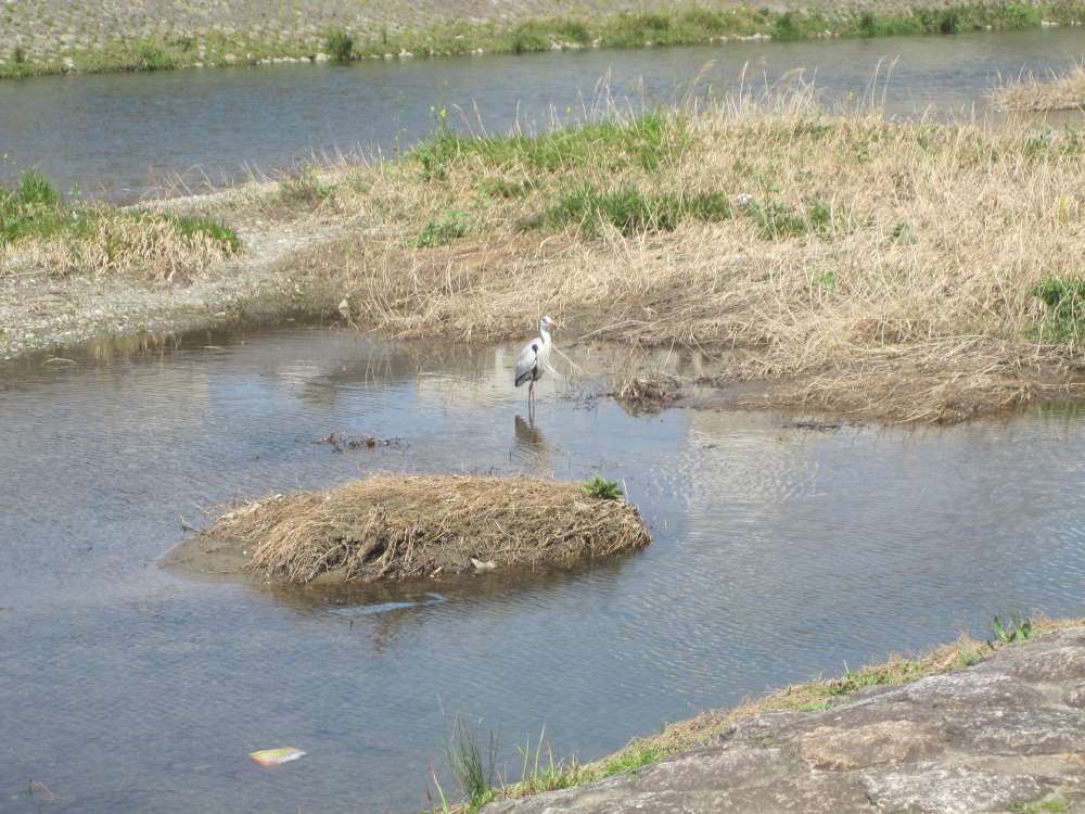 Day 6, Image 22