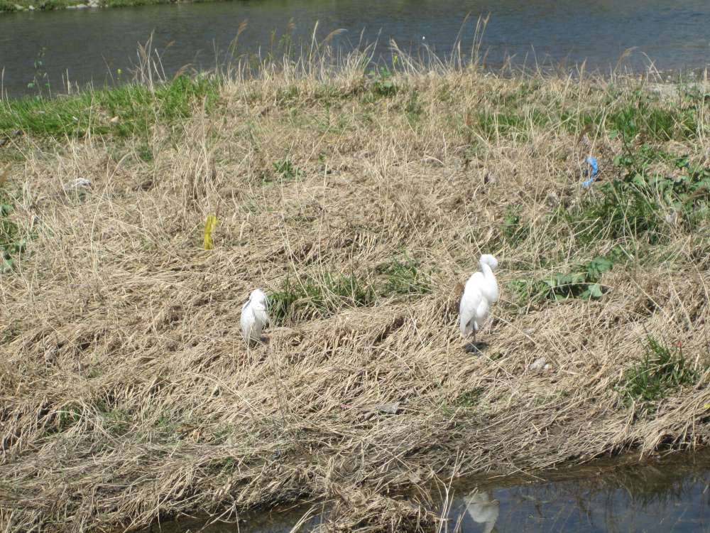 Day 6, Image 23