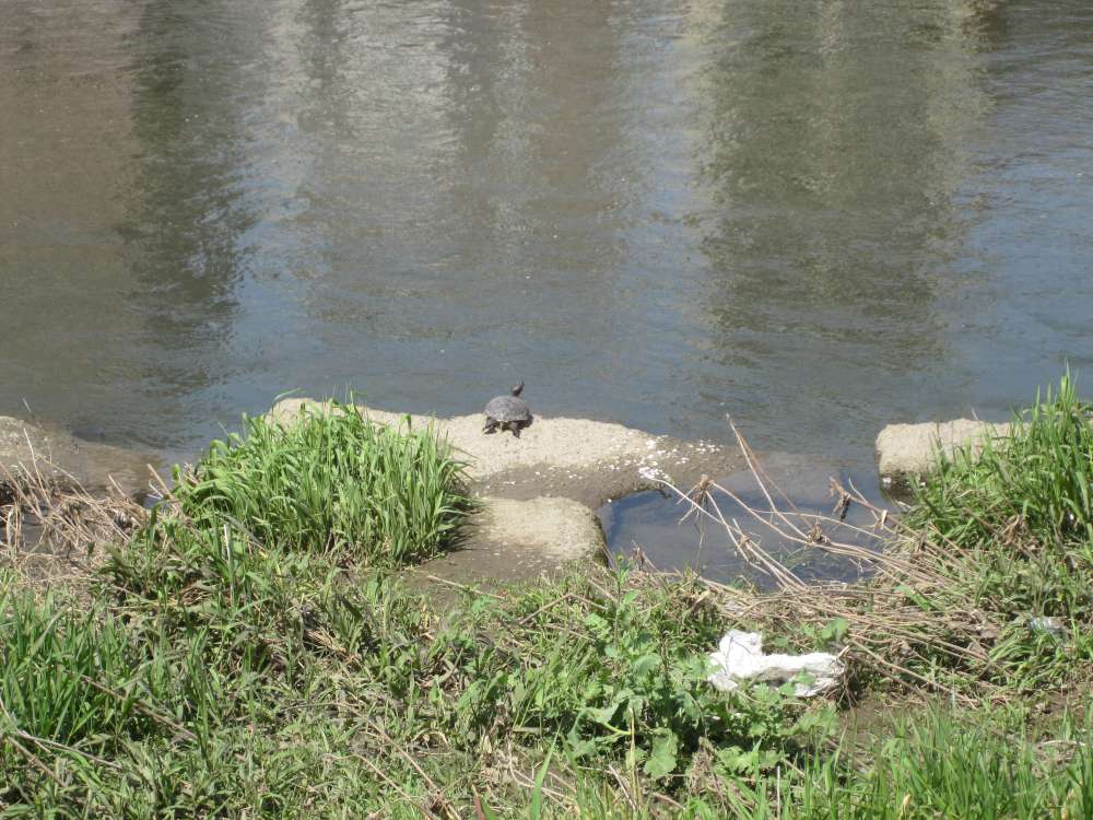 Day 6, Image 25