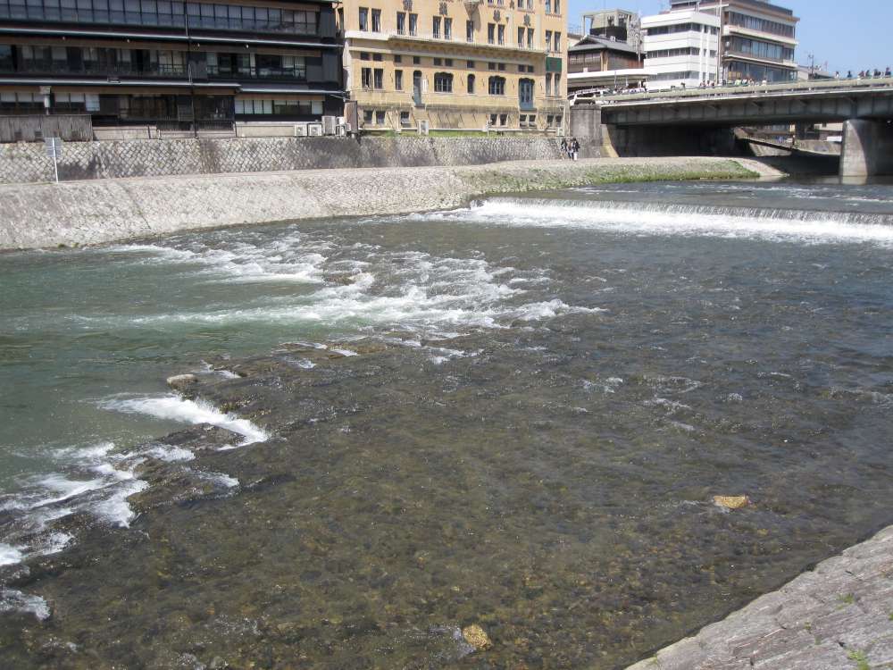 Day 6, Image 31