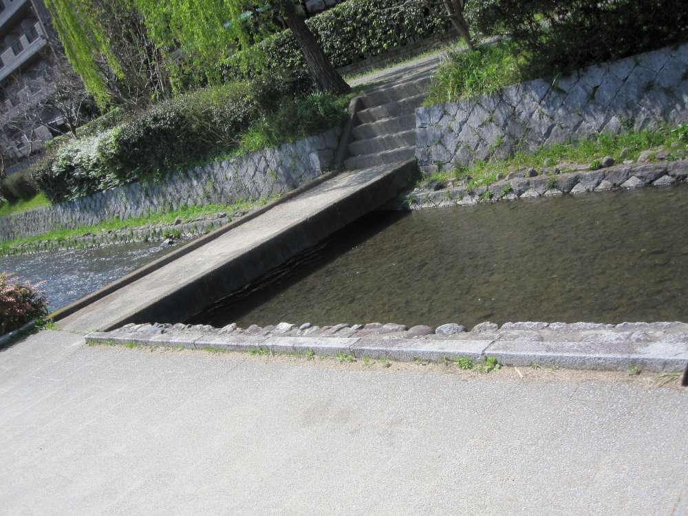 Day 6, Image 35