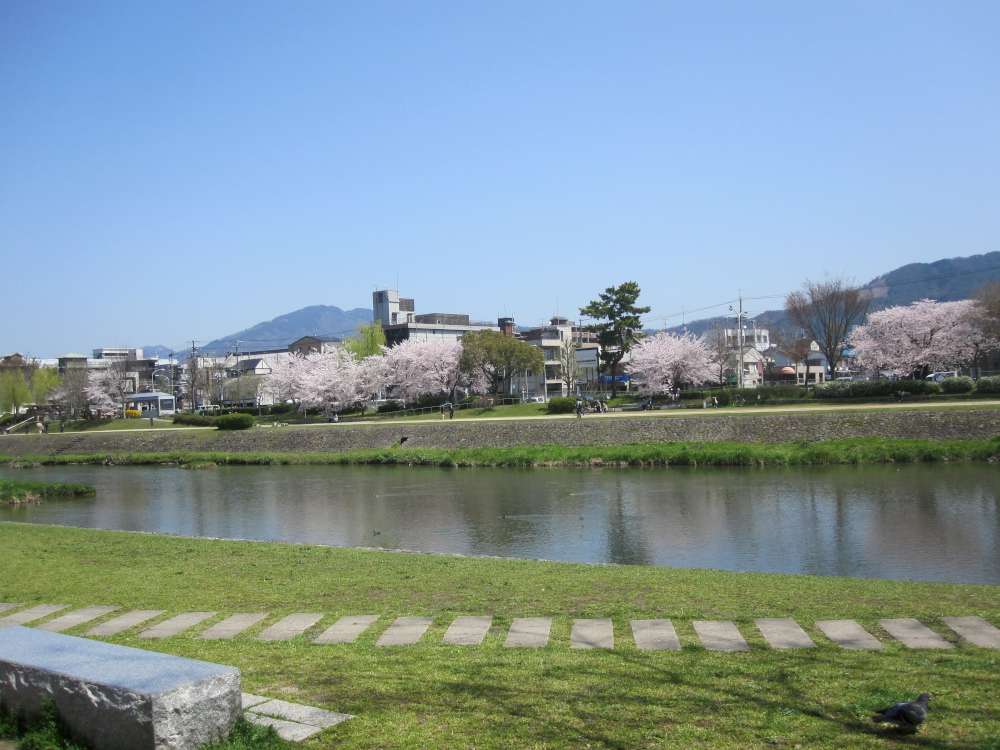 Day 6, Image 37