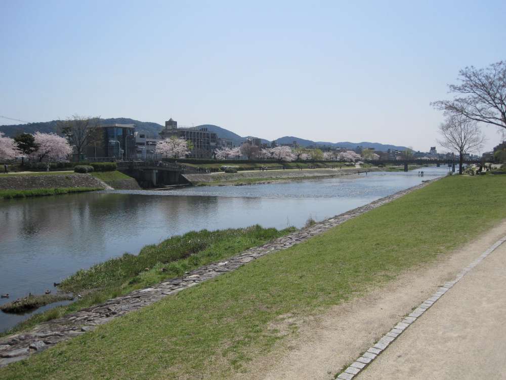 Day 6, Image 38