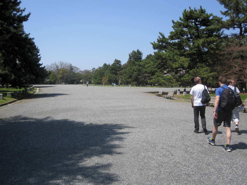 Day 6, Image 39