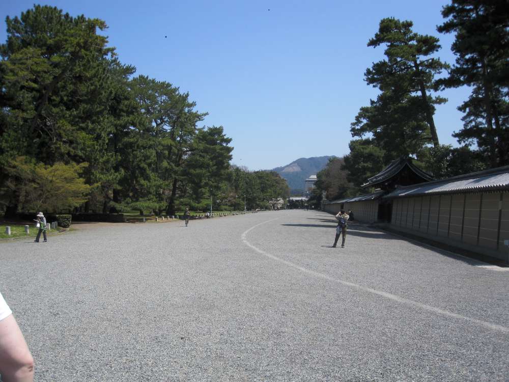 Day 6, Image 46