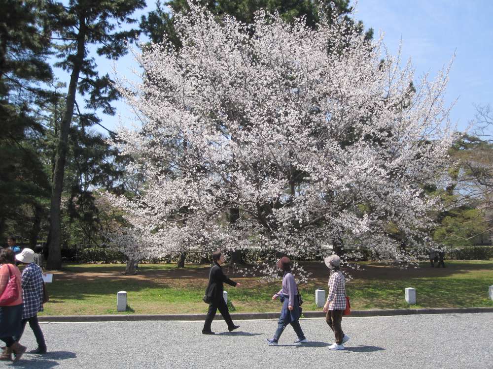 Day 6, Image 59