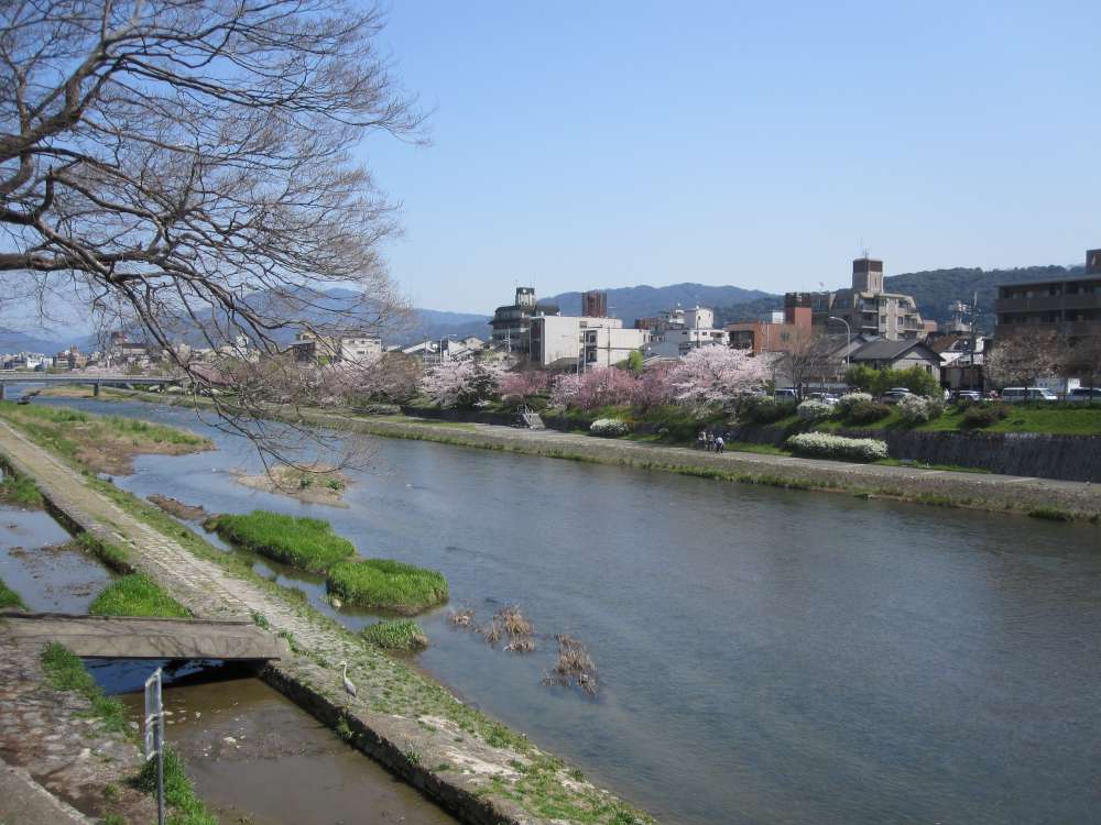 Day 6, Image 10
