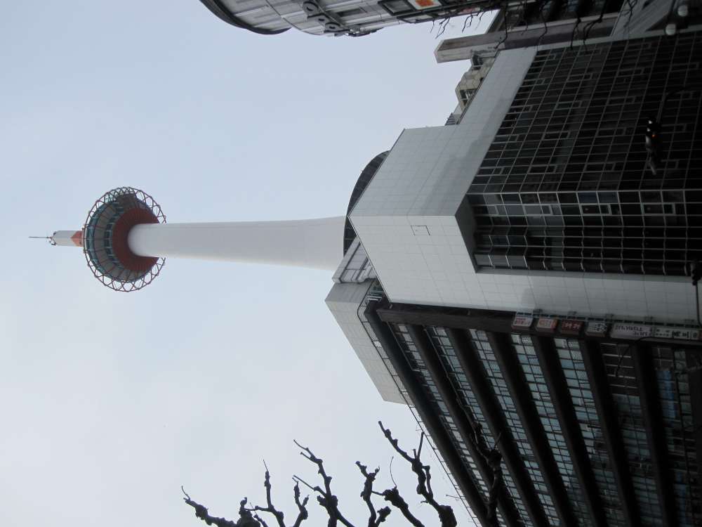Day 7, Image 2
