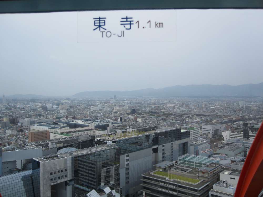 Day 7, Image 11