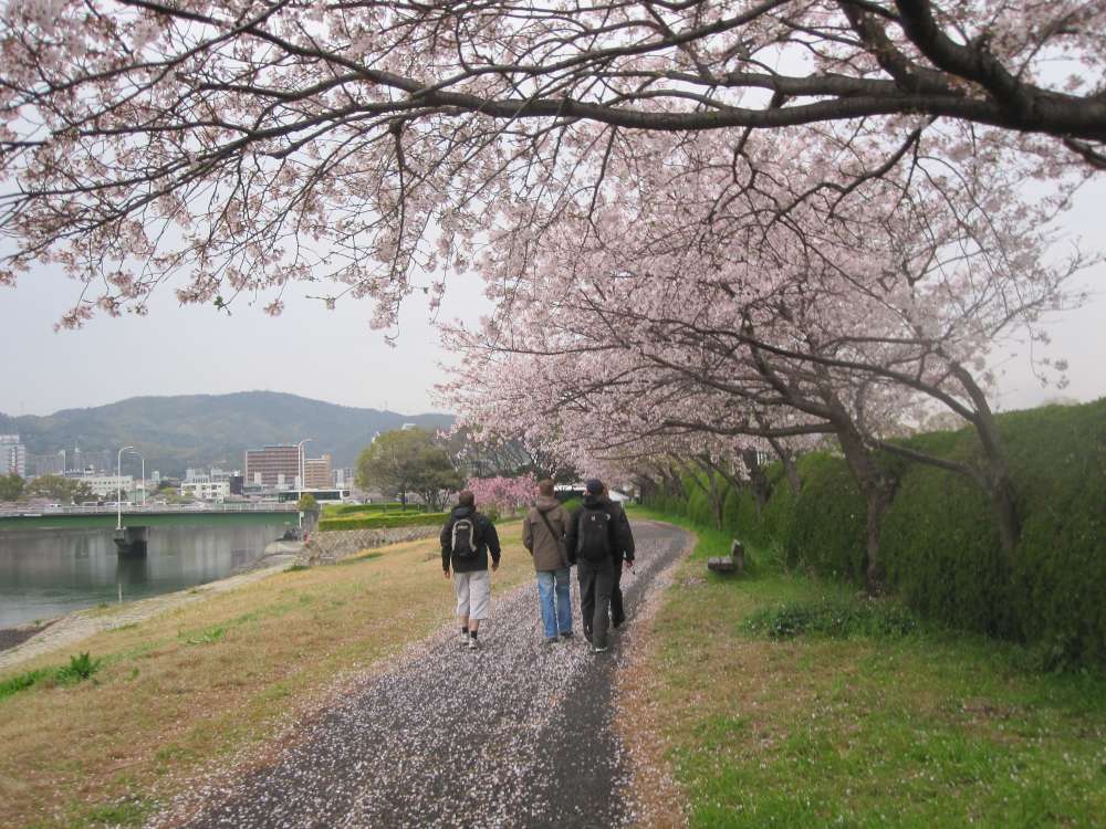 Day 7, Image 105