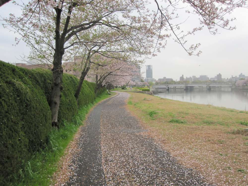 Day 7, Image 106
