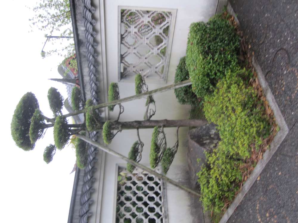 Day 7, Image 110