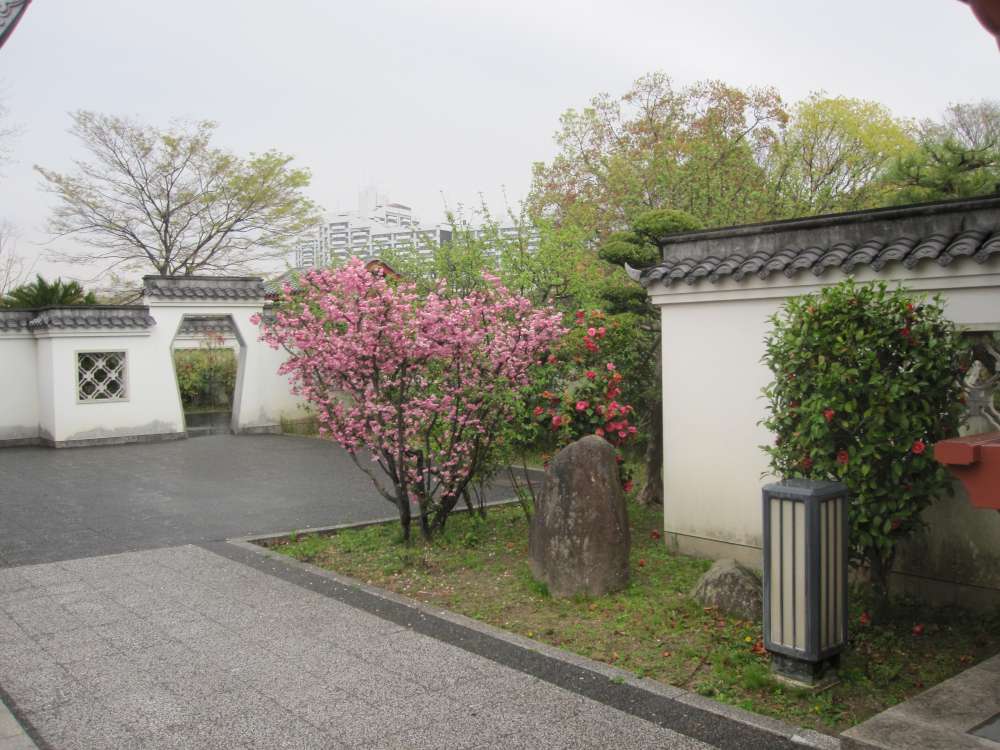 Day 7, Image 113