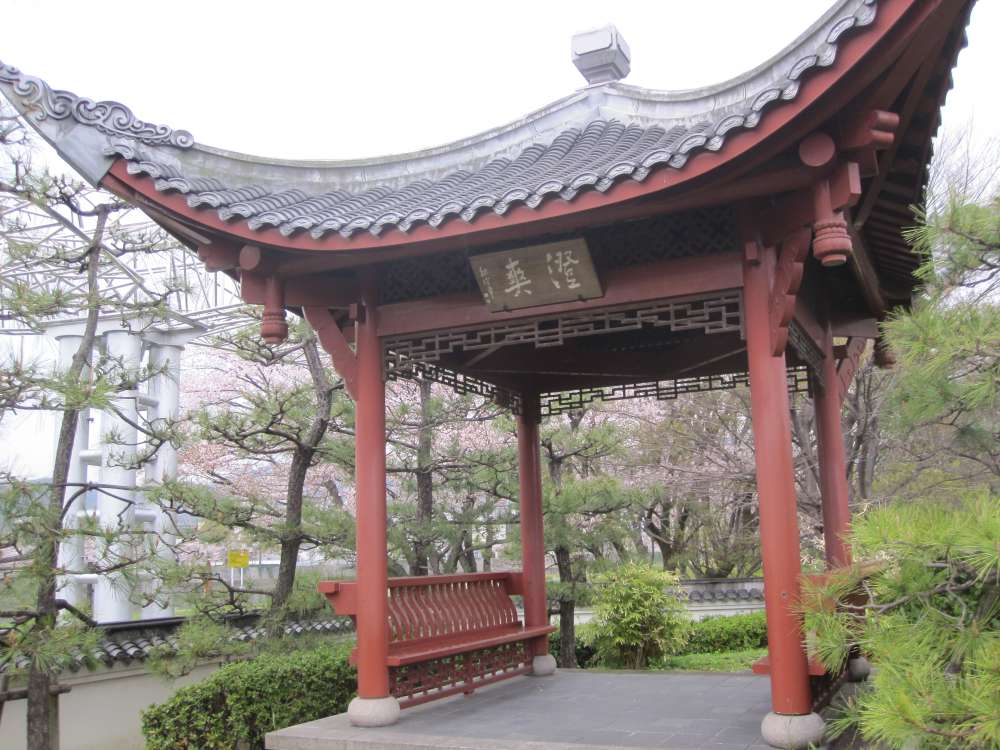 Day 7, Image 116