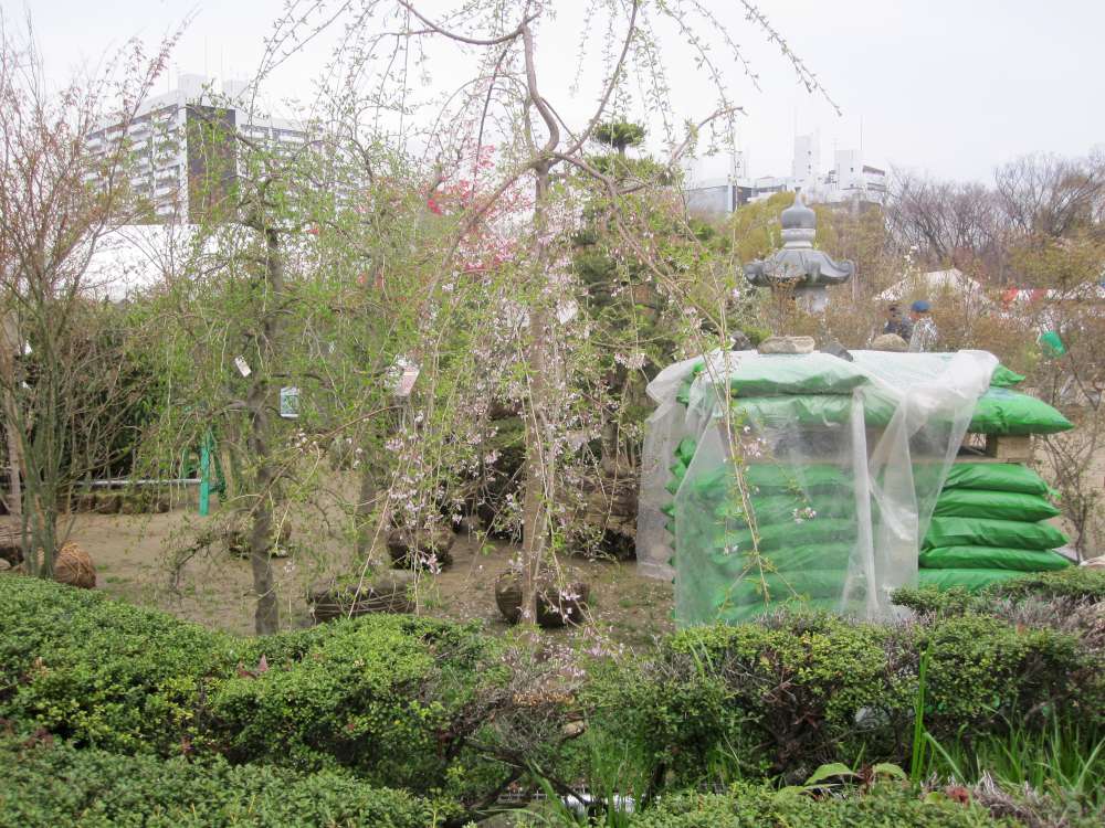 Day 7, Image 124