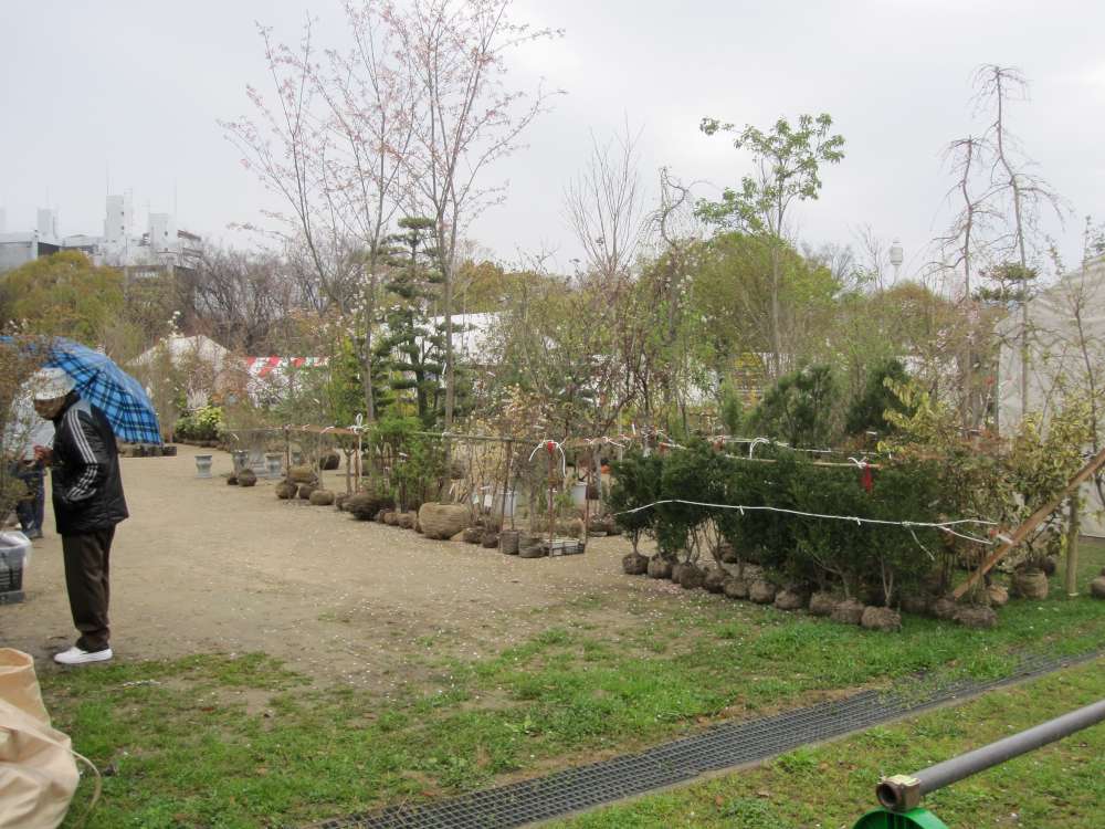 Day 7, Image 125