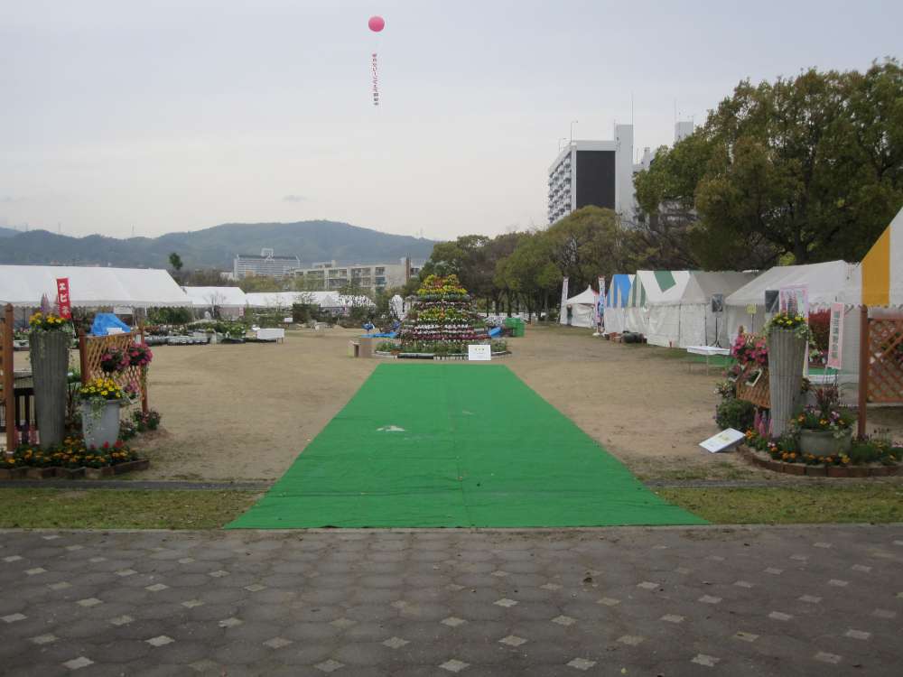 Day 7, Image 130
