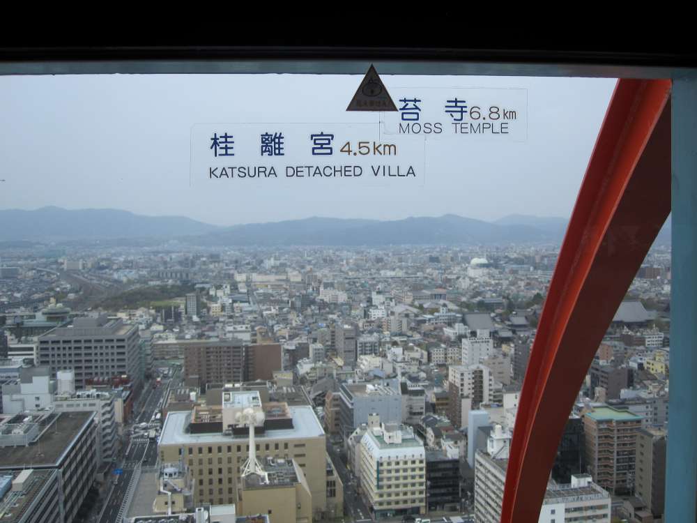 Day 7, Image 14