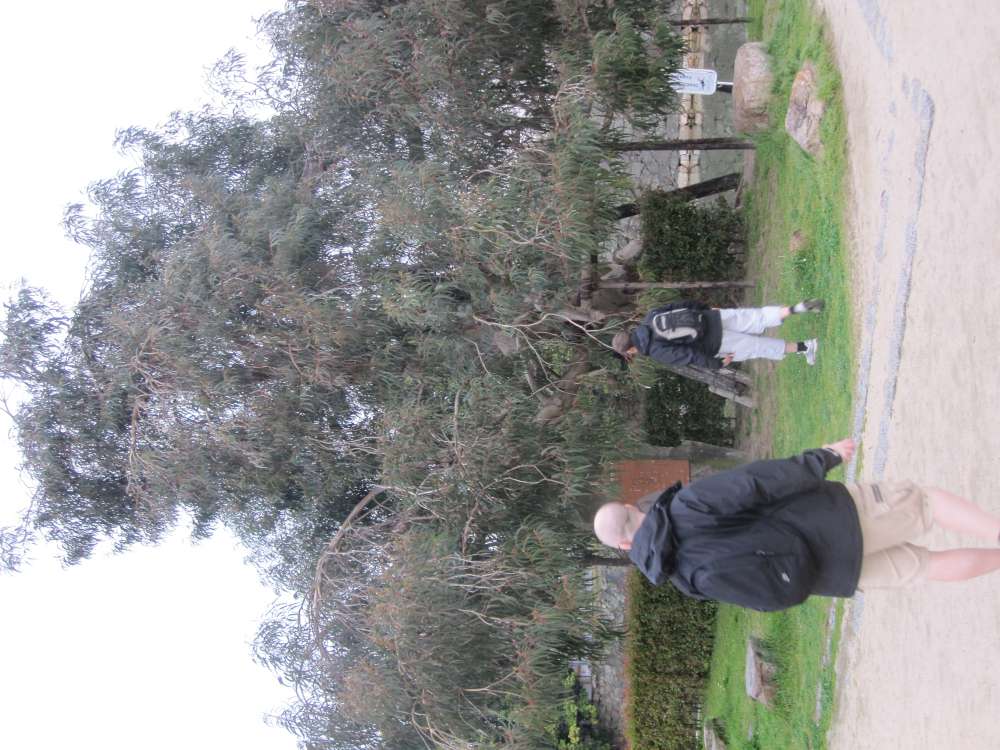 Day 7, Image 147